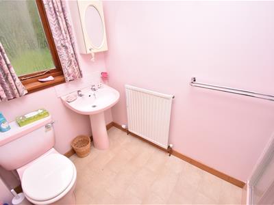 Picture 14